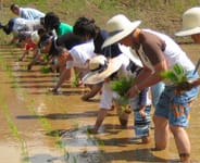 田植え写真